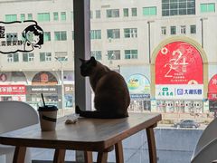-藏猫猫咖啡主题馆(中央大道店)