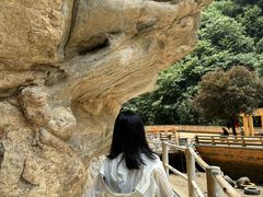 -少华山国家森林公园