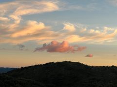 -长虫山生态公园风景林