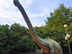 -郑州方特梦幻王国