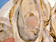 -千岛蚝高压锅生蚝·人参火锅(白云万达店)