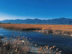 -野鸭湖国家湿地公园