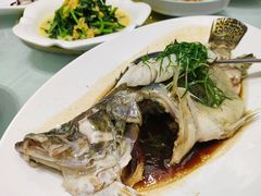 清蒸鳜鱼-香融府·烤鸭·家常菜(马家堡路店)