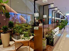 -THE WOODS 简餐 (国贸商城店)