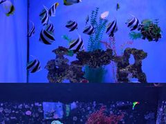 -海合安武汉极地海洋公园