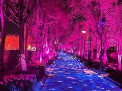 -花博汇(知音花月夜)