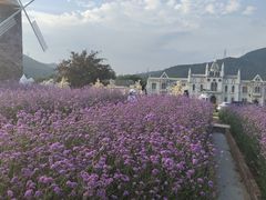 -玫瑰海岸文化旅游度假区