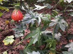 -南通洲际绿博园