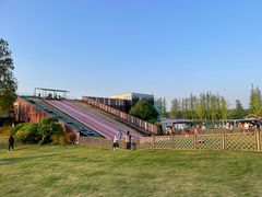 -黄海国家森林公园