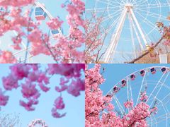 -广富林郊野公园