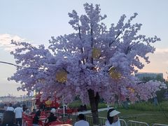 -万达广场(北京槐房店)