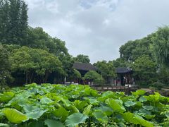 -秋霞圃