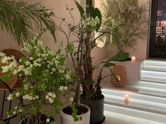 -HUATA 'Holiday Plan 花榻