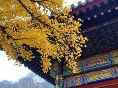 -红螺寺