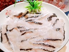 -洞子口重庆鲜货火锅(楚翘城旗舰店)