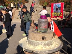-天女山森林公园