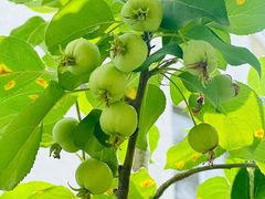 -红黄蓝幼儿园(颐东苑店)