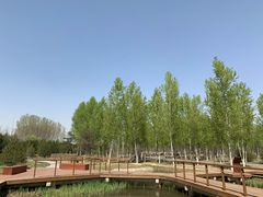 -东郊湿地公园