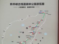 -羚羊峡古栈道森林公园