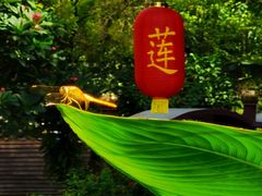 -广州莲花山旅游区