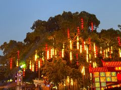 -长鹿旅游休博园