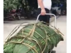 -無印抹茶·日式甜品·生日蛋糕(吉林财富购物广场店)