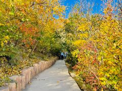 -北京西山国家森林公园