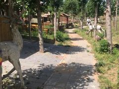 -北京鹿世界主题园