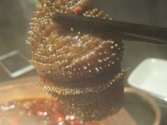 -锅说大脸毛肚重庆老火锅(佐阾店)