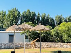 -北京野生动物园