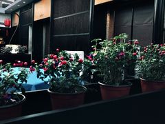 -泓盛花园