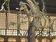 -桂满陇·海市蜃楼·黑金(国金店)