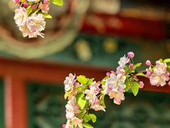 -海棠花溪(元大都城垣遗址公园)