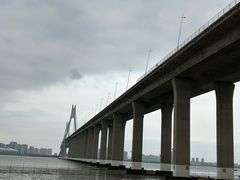 -中澳友谊花园