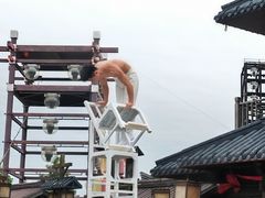 -东台西溪天仙缘景区
