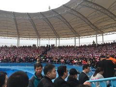 -华夏文旅海洋公园