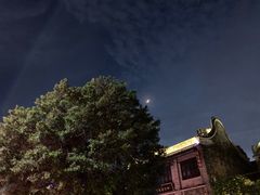 -针姨