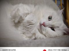 -美联众合24小时·皮肤科·外科·全科诊疗中心(华苑分院)