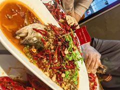 -杨氏青龙虾·羊蝎子(托乐嘉店)