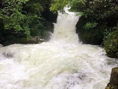 -神农架香溪源景区