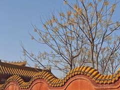 -商丘市人民公园