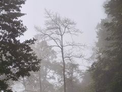-綦江古剑山