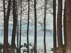 -云龙湖旅游景区