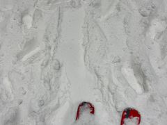 -哈尔滨热雪奇迹