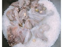 鸽子饭-皇鸽餐厅(五桂山分店)