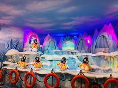 -帝企鹅自助餐厅•儿童岛•真企鹅(长隆企鹅酒店)