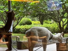 -南宁荔园维景国际酒店·荔园中餐厅