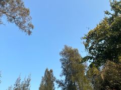 -鸿山公园