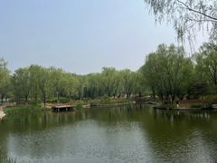 -燕郊植物园