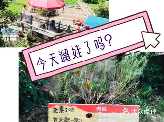 今日打卡了闺蜜推荐的网红遛娃体验生活的地方